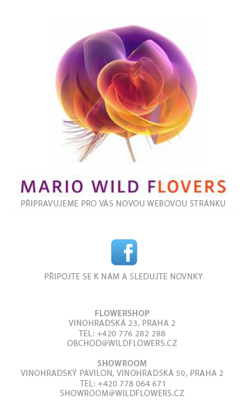 Mario Wild Flowers